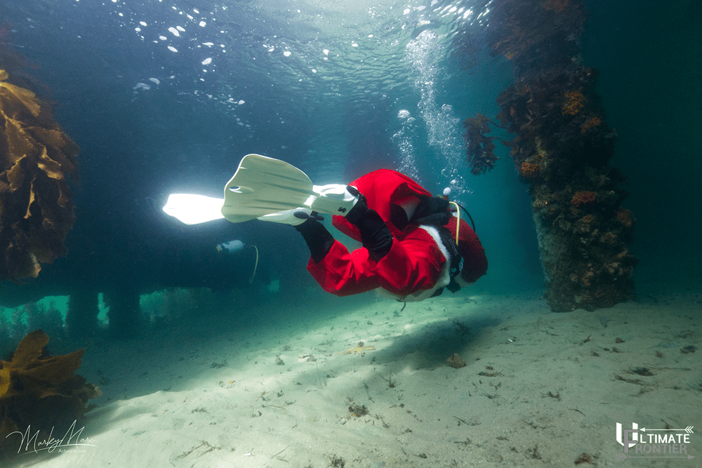 Underwater Christmas shot 13