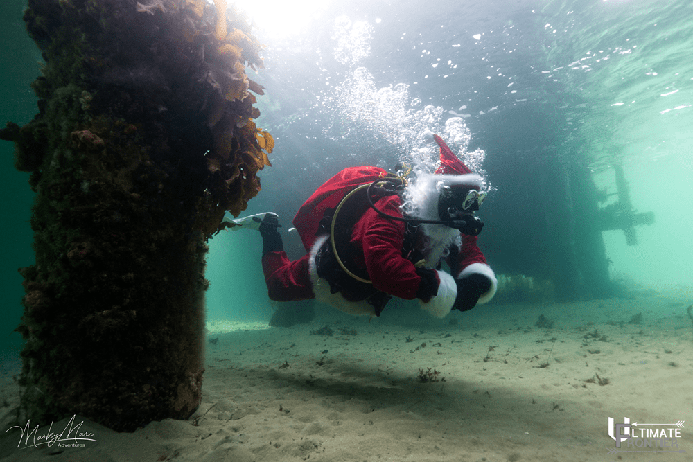 Underwater Christmas shot 14