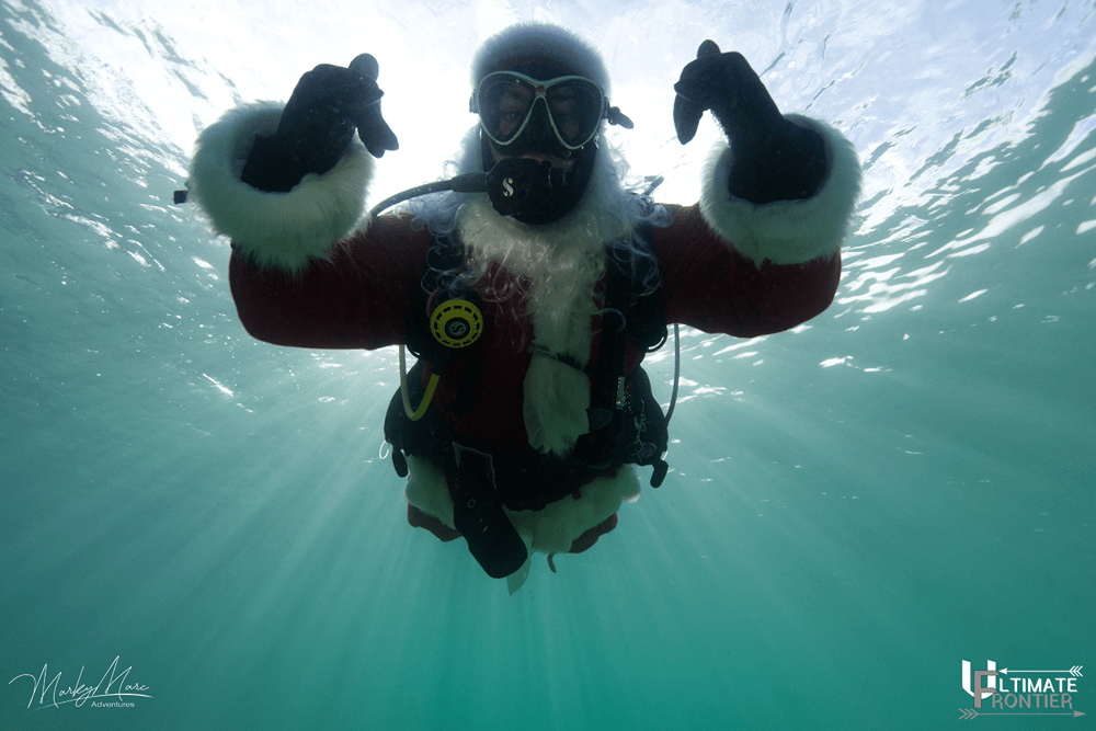 Underwater Christmas shot 16