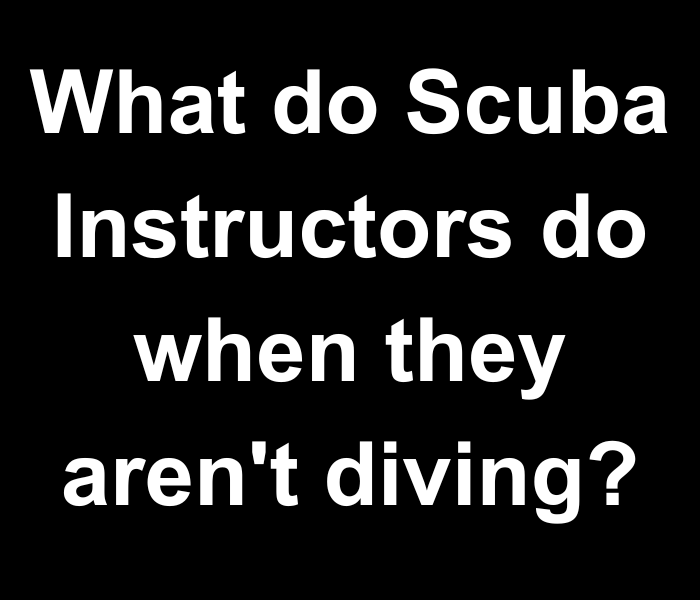 What do Scuba Instructors do when they aren't diving?